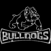 GLT94 SILVER GLITTER Thumbnail